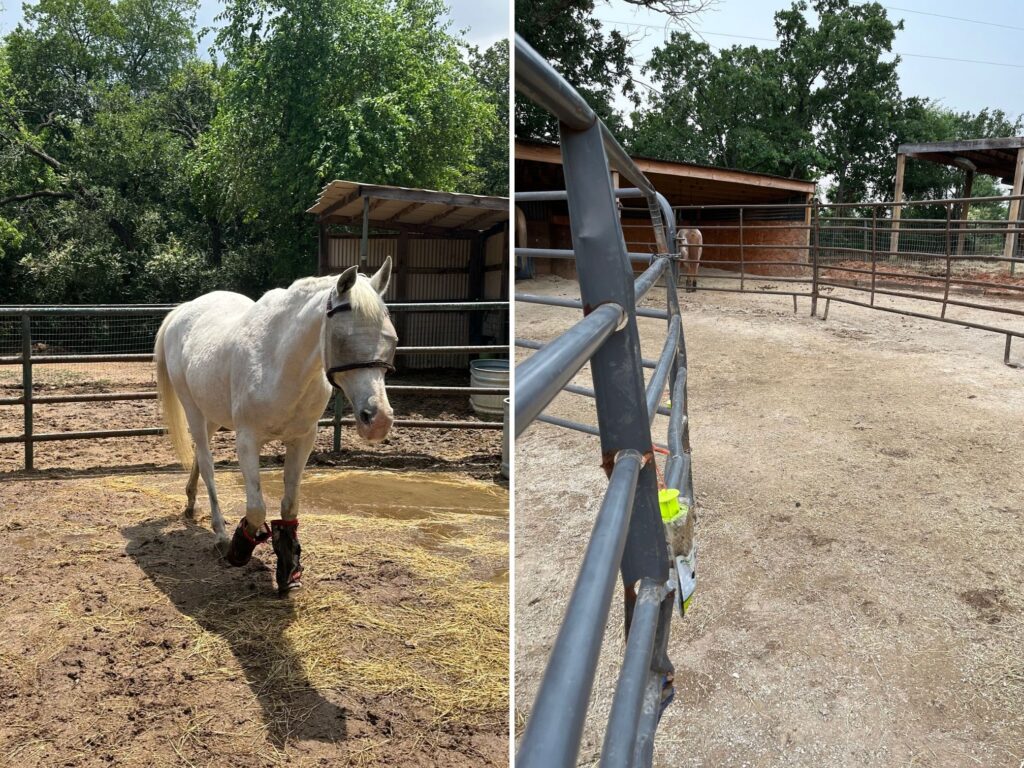 Results of Lighthoof Mud Management Panels