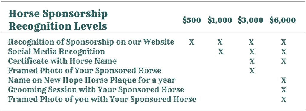 Horse Sponsorships