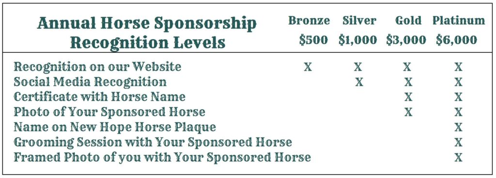 Horse Sponsorship Levels