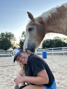 Tommy therapy horse at New Hope Equine Assisted Therapy