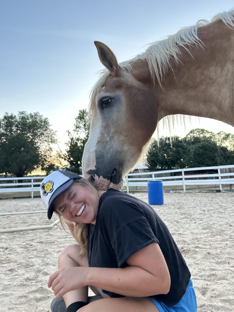 Tommy therapy horse at New Hope Equine Assisted Therapy
